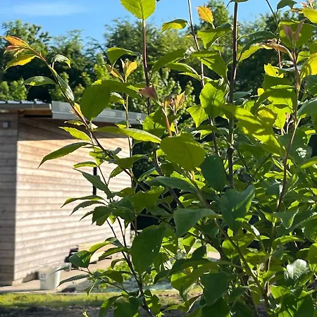 Maison Osithe Сasa de vacaciones